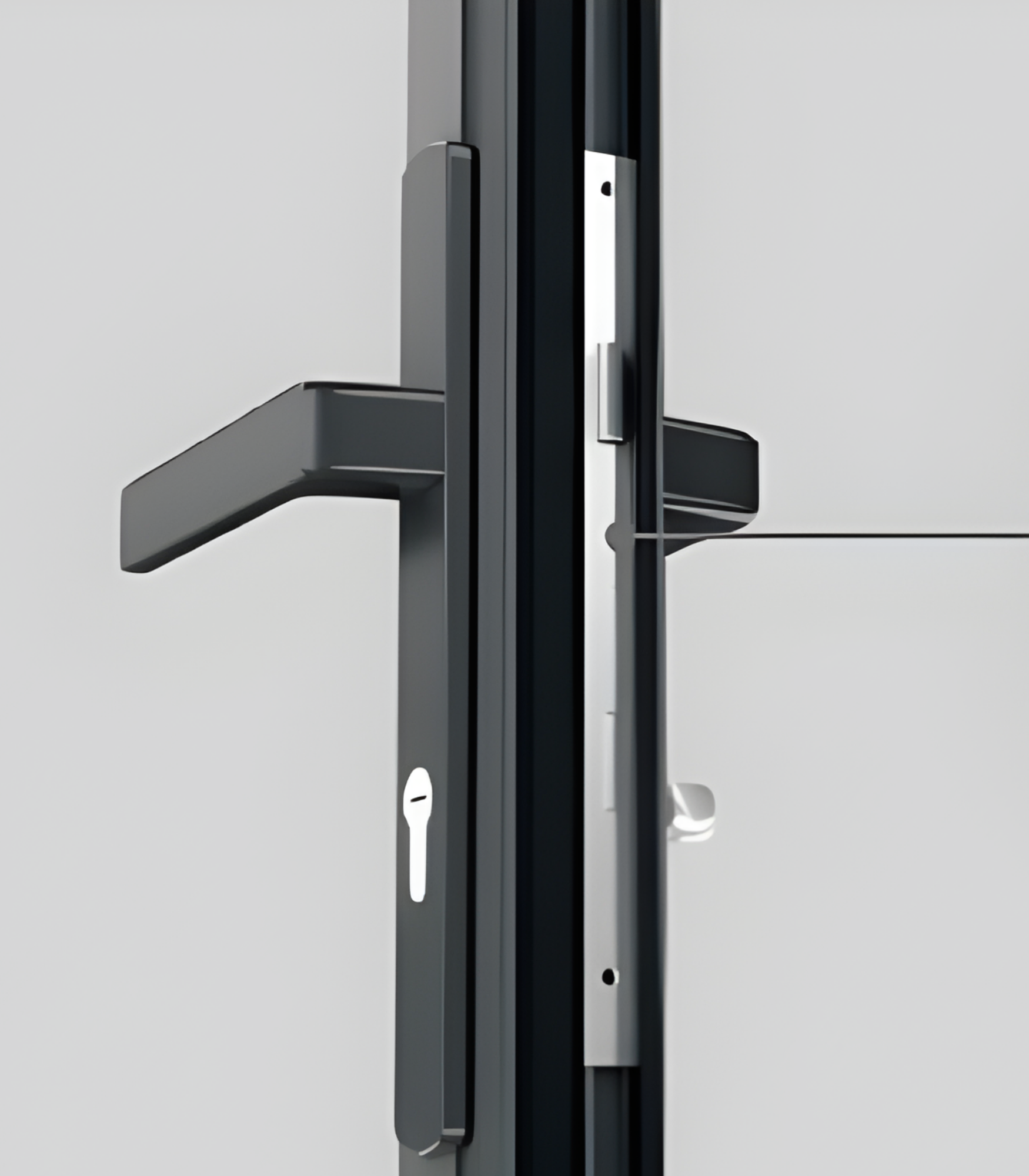 VLX 100 Swing / Entry Door in San Francisco, CA | Meridian Windows and Doors San Francisco - detail 5